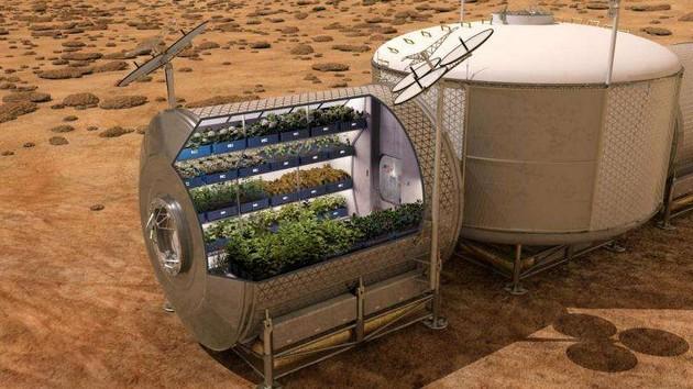 Овощи, выращенные в космосе, можно употреблять в пищу