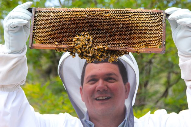 Intel помогает пчелам выжить и спасти наш мир