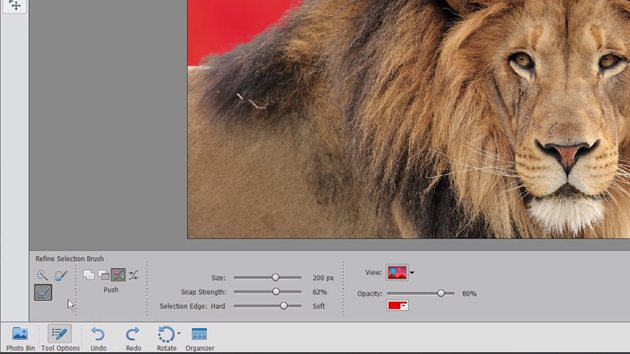 Новые Adobe Photoshop и Premiere Elements 14 - стоят ли они  внимания?