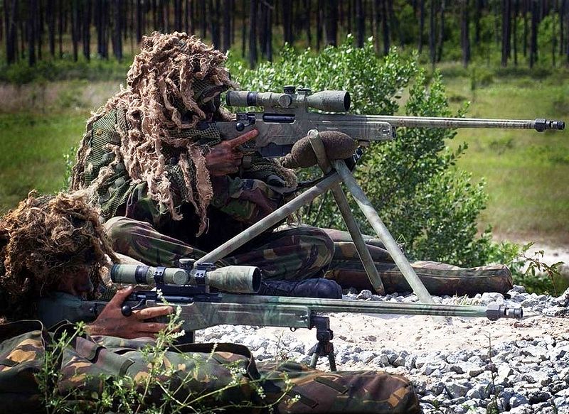 800px_royal_marines_snipers_displaying_their_l115a1_rifles-tfb