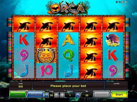 playing field online slot games. a photo