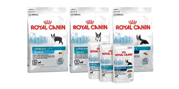 Royal Canin dry food for dogs