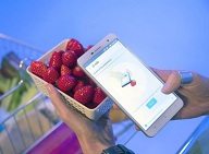 Changhong H2 Smartphone able to determine the chemical composition of the foodstuff
