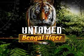 Полювання на тигрів в Untamed Bengal Tiger