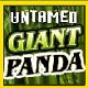 Game review Untamed Giant Panda. ABOUT
