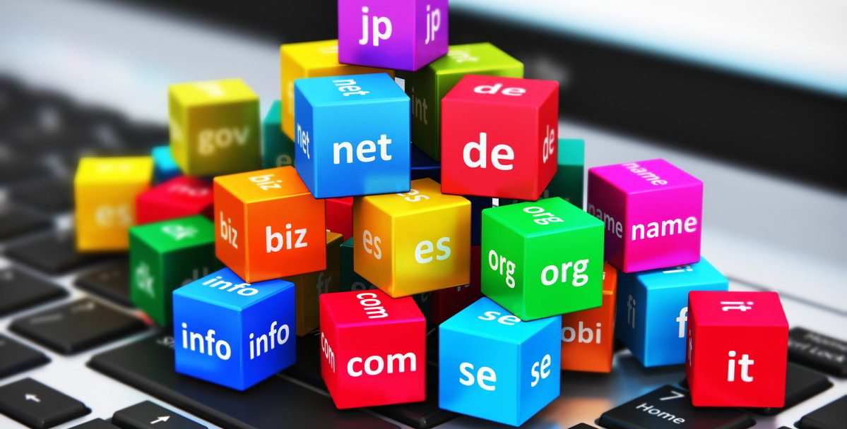 Select a domain for the website development