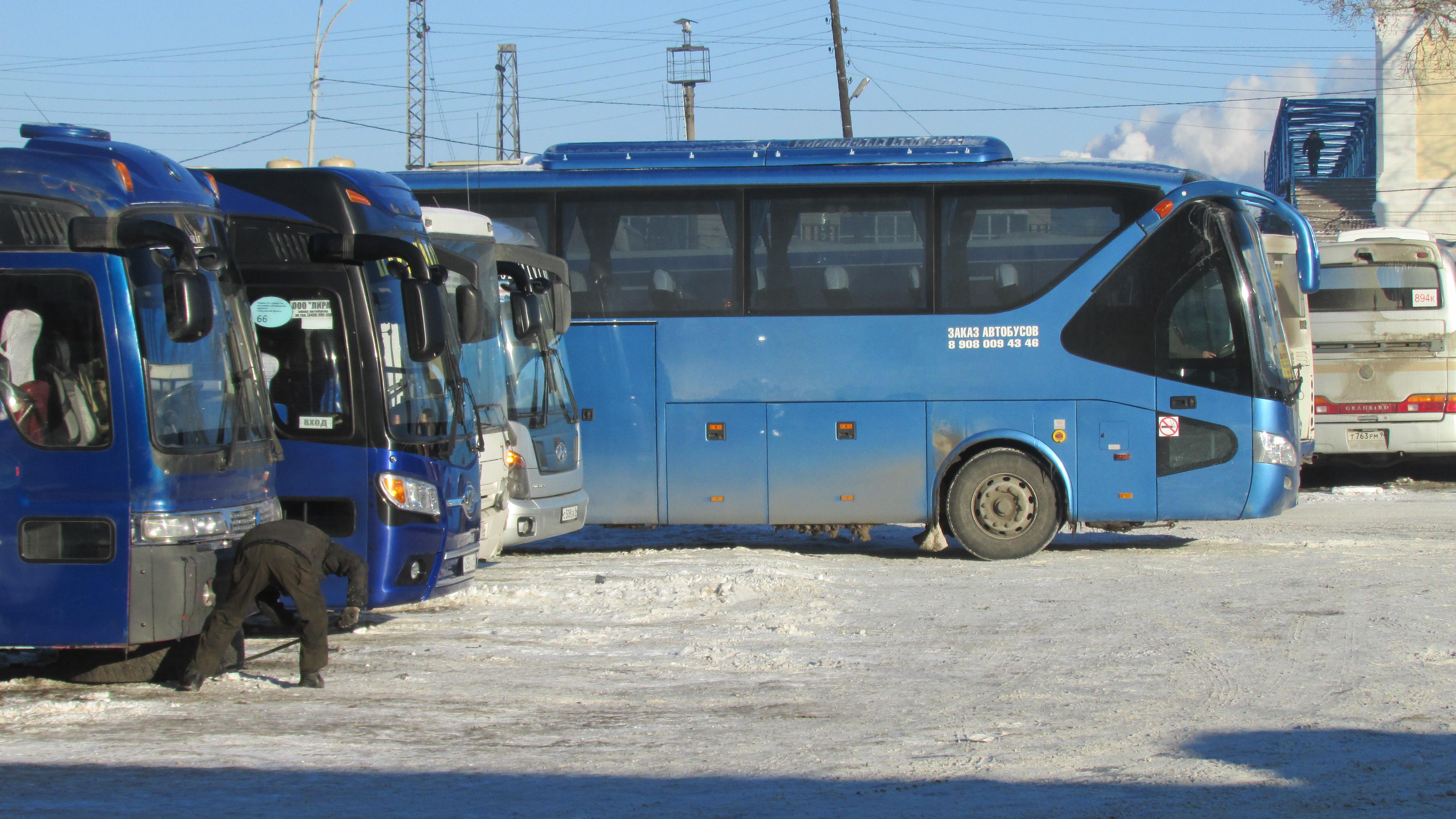 perevozki-avtobusnye
