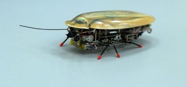 Самых маленьких роботов-тараканов создали российские ученые