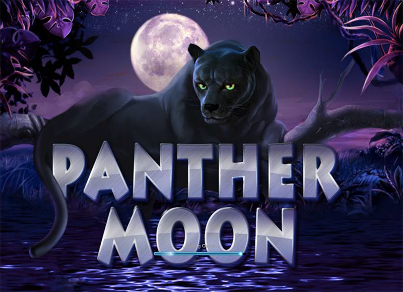 Игровой автомат Panther Moon – краткий обзор