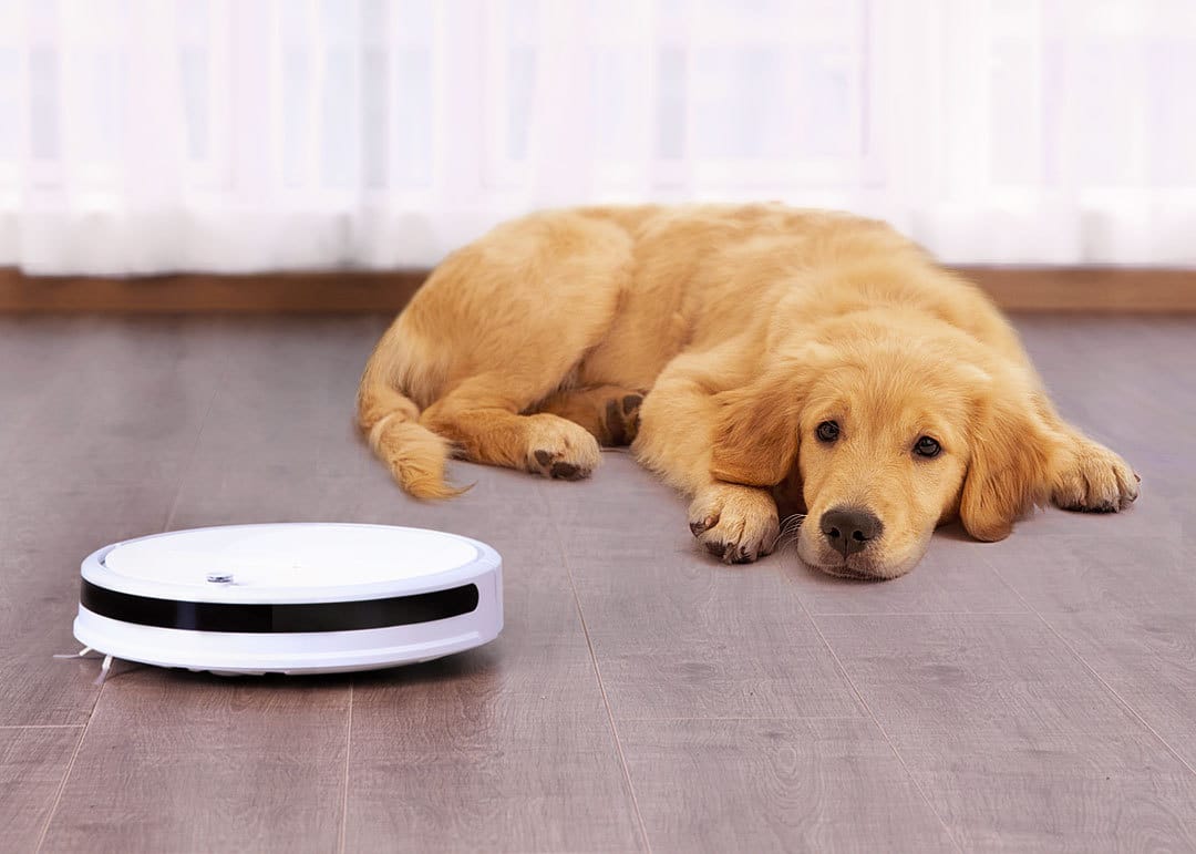 "Smart" robot vacuum cleaner from Xiaomi get rid of manual cleaning