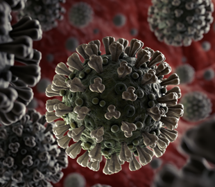 В Испании разрабатывают приложение, которое будет прогнозировать распространение коронавируса