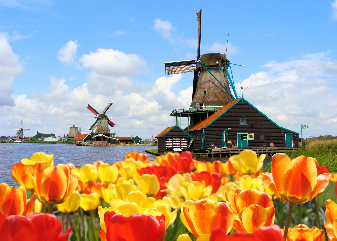 Study in the Netherlands benefits