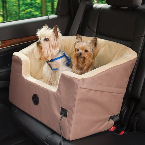 car seat for dogs photo
