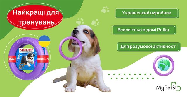Выберите идеальную игрушку для своей собаки на MyPetsi