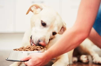 Main reasons, why Royal Canin is the best diet for your pet