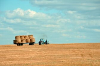 Ціни на пшеницю у регіонах Україні